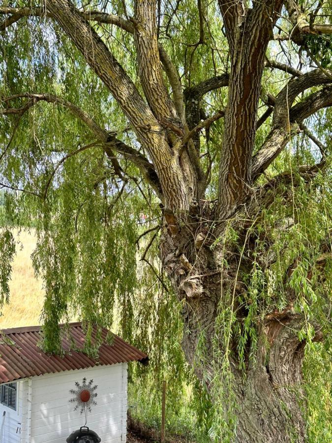 Maison Bourbonnaise Idealement Placee Proche Du Centre Ville De Moulins Neuvy  Kültér fotó